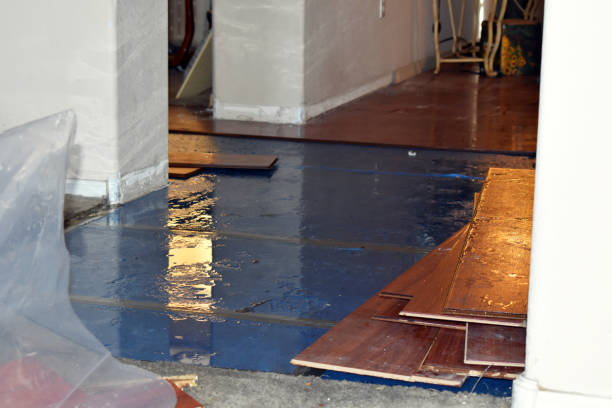 Professional Burst Pipe Cleanup technician working in Groesbeck, OH